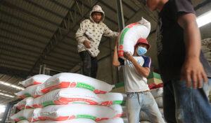 Cambodia rice exports jump 67.5% to nearly 800K tonnes